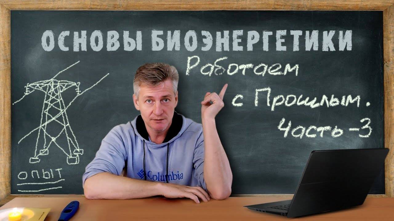 15. Работаем с Прошлым. Часть 3. Основы Биоэнергетики