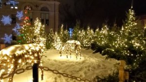 #канада 14 декабря 2020, Рождественская сказка в Квебек-сити