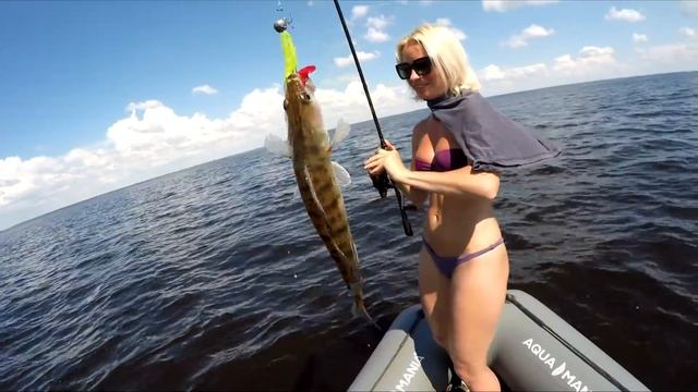 БЕЗОТКАЗНАЯ ПРИМАНКА КОСИТ СУДАКА! Рыбалка на судака 2021! Ловля судака летом на джиг