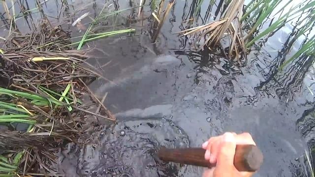 Подготовка места для ловли карася.