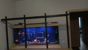 аквариум 1100 литров . # 1 каркас