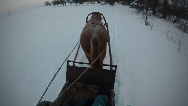 Домик в деревне. Собака друг человека! Русская печь. За окном -28. Белорусская Зима !!! смотреть онлайн