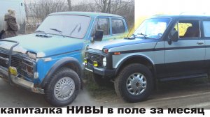 НИВА из полного хлама за месяц