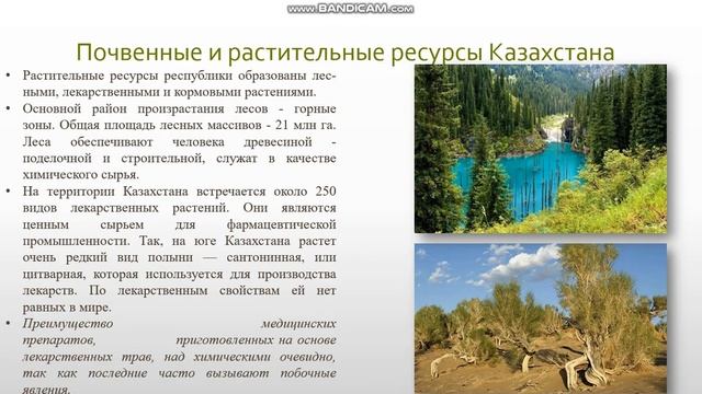 Рациональное использование природных ресурсов