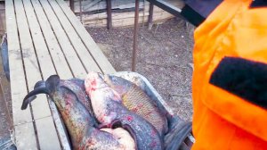 Подводная Охота. Трофейный Сом. Магазин. Баня.