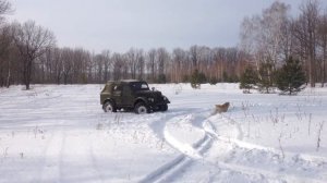 Газ 69 на шинах Л163 по снегу давление 0,2атм.