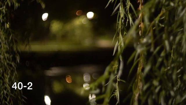 Helios 40-2 vs Helios 44-2 - где БОКЕ круче? | Видео-обзор советских объективов Гелиос на Sony a7ii смотреть онлайн