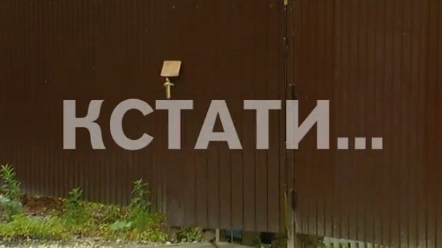 Детсад вместо сада - огородный участок превратили в нелегальное детское учреждение смотреть онлайн