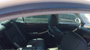 КРАУН ГИБРИД, СТВОЛОВОЙ 200 КРАУН, МАДЖЕСТА НА ЖИРЕ