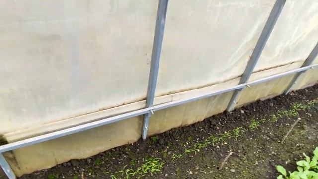 ???ПОЛИКАРБОНАТНАЯ ТЕПЛИЦА БЕЗ ФУНДАМЕНТА. Плюсы и минусы. Мой обзор и отзыв