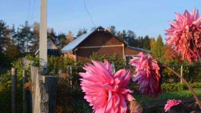 Участок Сыктывкар, Дырнос, Строитель смотреть онлайн