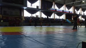 Wrestling /Вольная Борьба/Пермский край