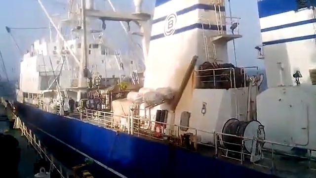 Погрузка рыбой в открытом океане на судне Frio Dolphin смотреть онлайн