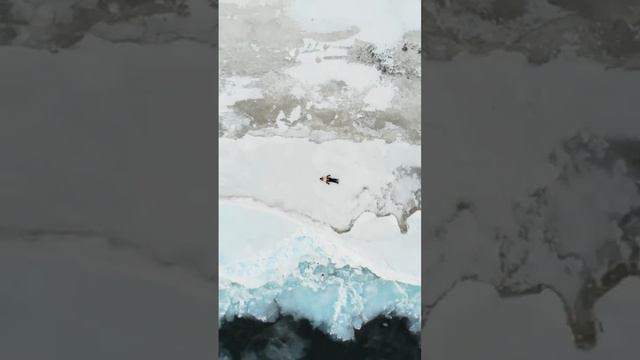 Я есть космос, космос есть я смотреть онлайн