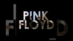 InShot_20231201_134104334.mp4