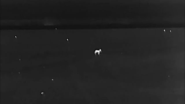 Hikmicro OWL OH35, Roe deer смотреть онлайн