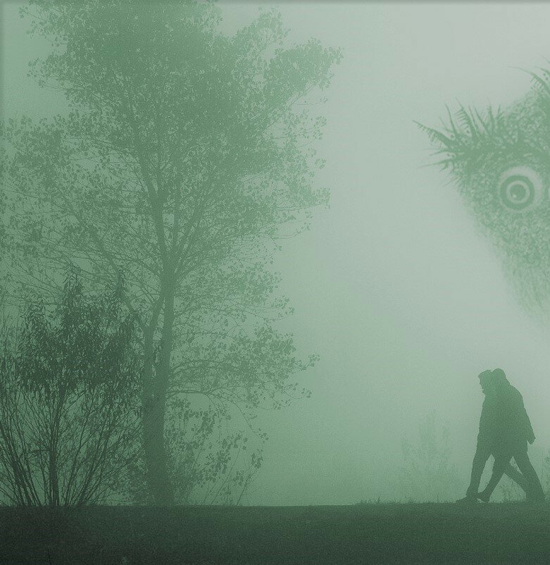 Зеленый мистический туман в пещере. Фотообои Mystic Fog Grey артикулh10011. Загадочные туманы