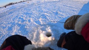 ЗА ТАКИМИ ГОРБАЧАМИ МЫ СЮДА ПРИЕХАЛИ! Окунь на балансир, рыбалка зимой 2021 22
