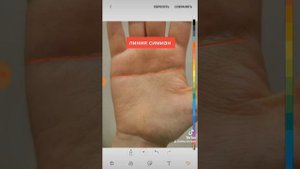 линия симиан