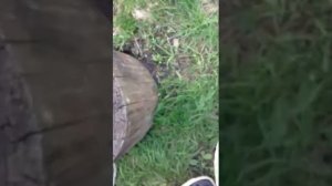 Раствор для разъеданния алюминия