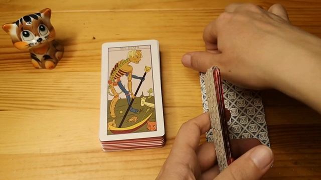 Обзор на Кошачье марсельское таро (The Feline Marseilles Tarot)