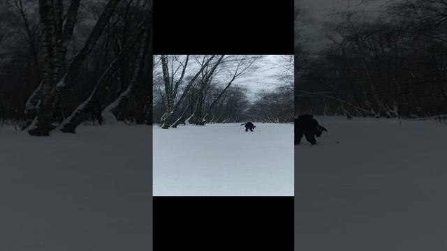 Катание на беговых лыжах 24.01.2021 год в Домодедовском лесу.