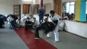 Goshinkan bujutsu - namigaeshi ("челнок")