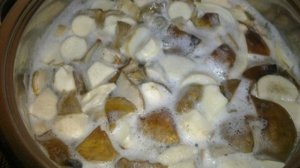 Маринованные белые грибы без уксуса
