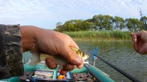 Рыбалка на КАРАСЯ на поплавок