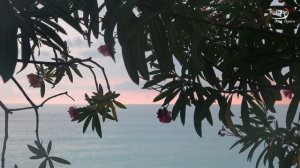 «БОЛЬ ДУШИ» Музыка хоть и грустная, но очень красивая....