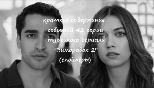 Краткое содержание событий (спойлер) 42 турецкой (134, 135, 136 русских) серии сериала "Зимородок 2"