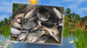 Бесплатный проект для ProShow Producer - Рыбаки