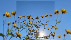 ssshhhiiittt! - солнце смеётся (speed up)