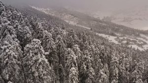 Vlog: Про полеты на квадрокоптерах зимой