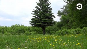 В Пензе достаточно знаковых мест, любимых жителями