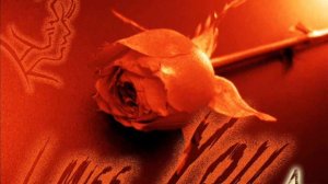 23.45 ft. 5ivesta Family - Ja budu