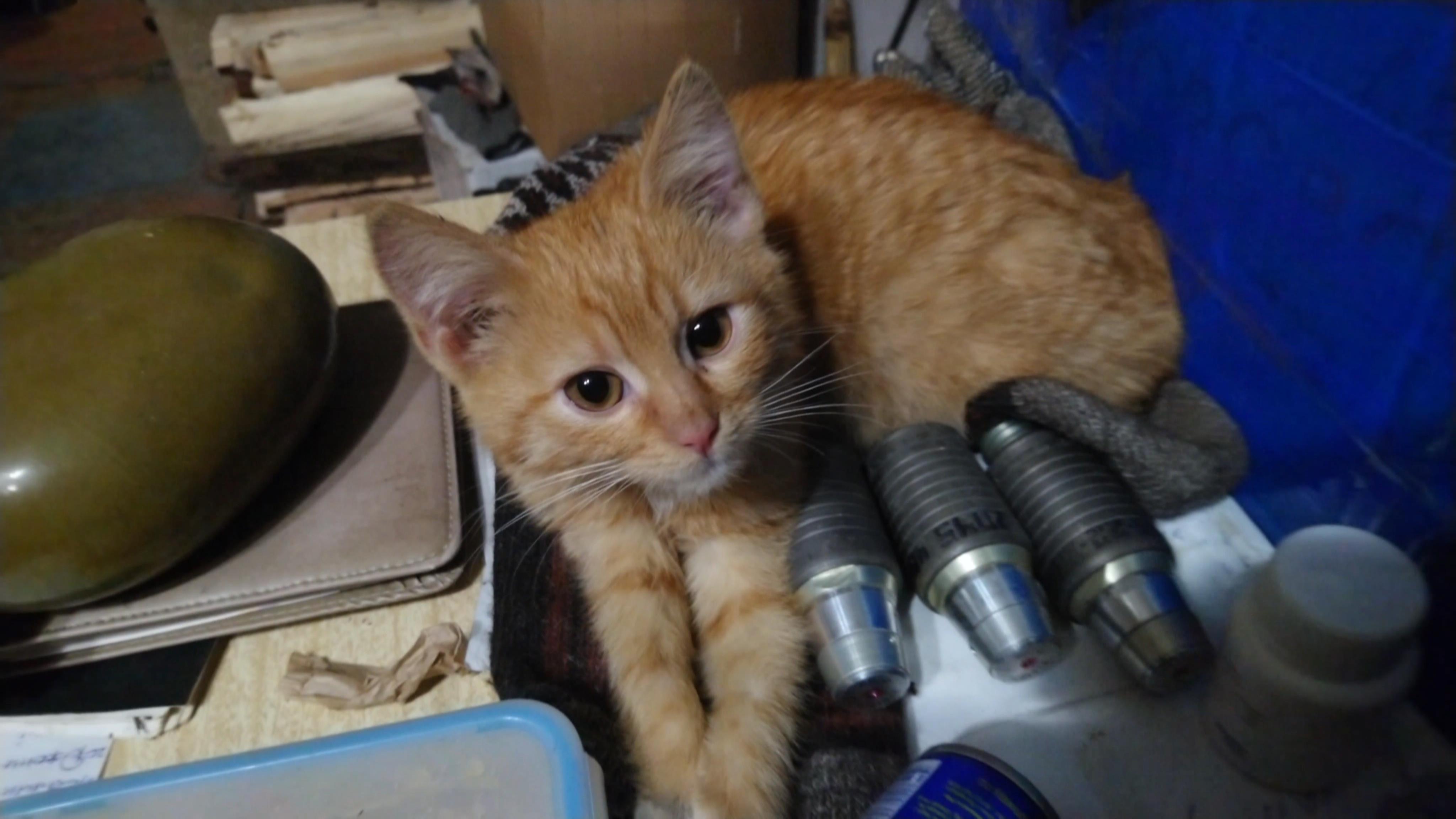 Помогу чем смогу смотреть онлайн