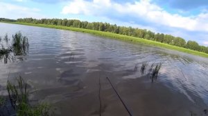 Ловля щуки на живца. Она съела поплавок и кусает удочку. Рыбалка на поплавок твоей мечты.