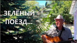"Зелёный поезд". Песня Владимира Ланцберга. У автора есть посвящение: Е.И. Но холера в песне есть...