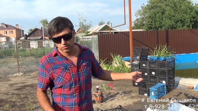 Засадка биоплато синего пруда. Вода светлеет.