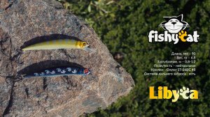 Fishycat Libyca 90SP - Техника и способы проводки