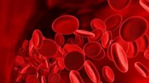 Вот какая группа крови считается самой сильной