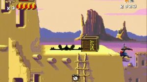 Desert Demolition Level 2