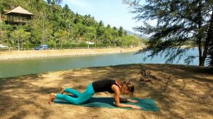 Chaturanga dandasana