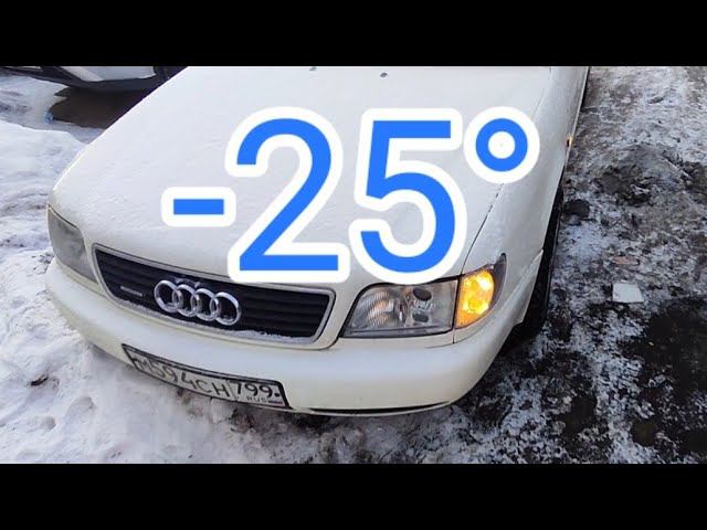 Бэлла, реабилитация в -25°