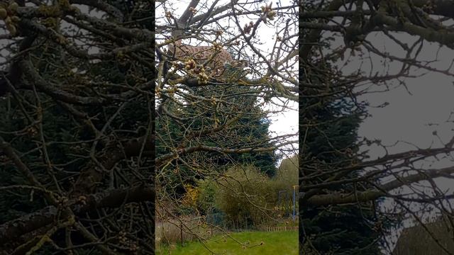 Спорт нужен всем! смотреть онлайн