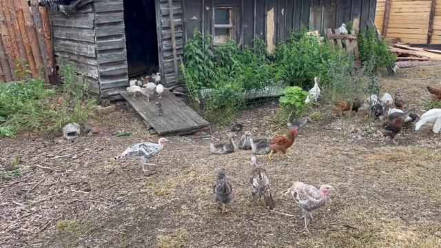 23-06-2023 смотреть онлайн