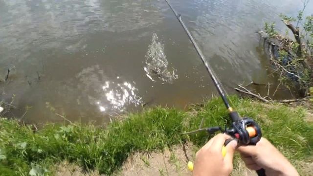 ВЫШЛА НА СВЕЧУ. ЩУКА НА СУРЕ. смотреть онлайн