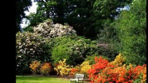 ЦВЕТОК ЛЮБВИ       ПОЁТ СЕРГЕЙ ГЛИНКИН