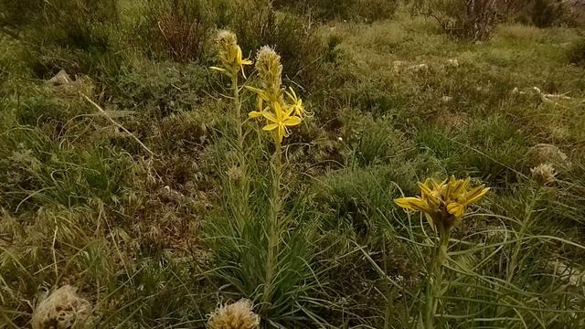 А вы видели Судакскую крепость со стороны моря? Тогда смотрим!  Апрель.